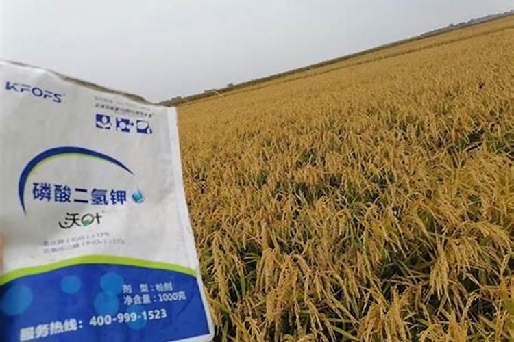 磷酸二氢钾10大品牌的有哪些？哪个厂家生产