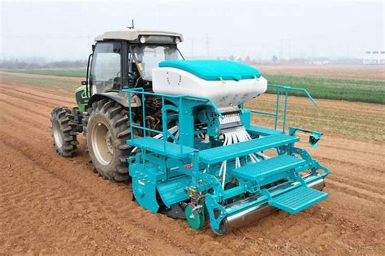 旱直播水稻怎样施肥