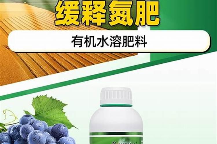 橘子树冬天施什么肥