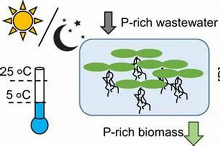 怎么养殖浮萍？？