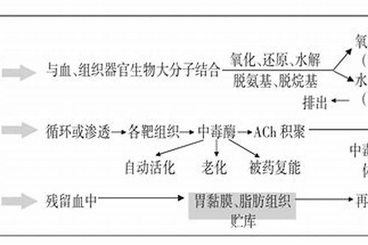 磷肥全磷和有效磷的区别