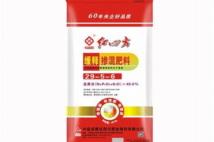 茉莉插花鲜花怎么养