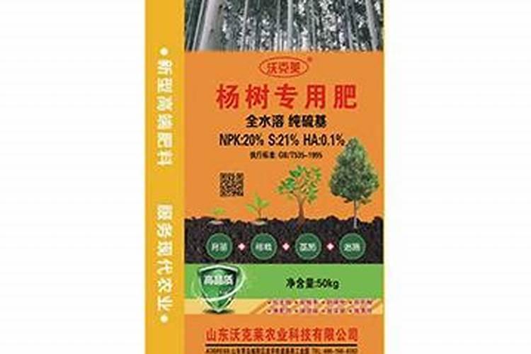 杨树上什么化肥好