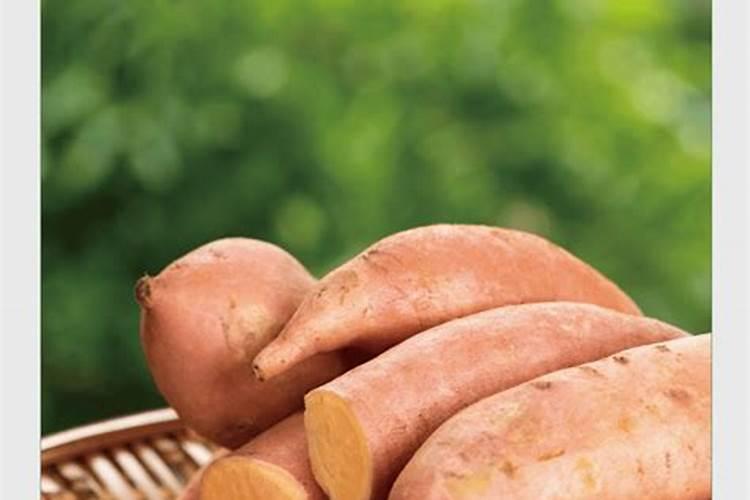 红薯控旺叶面肥哪种产品最好