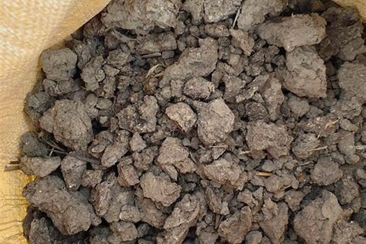 棉花施什么肥最好