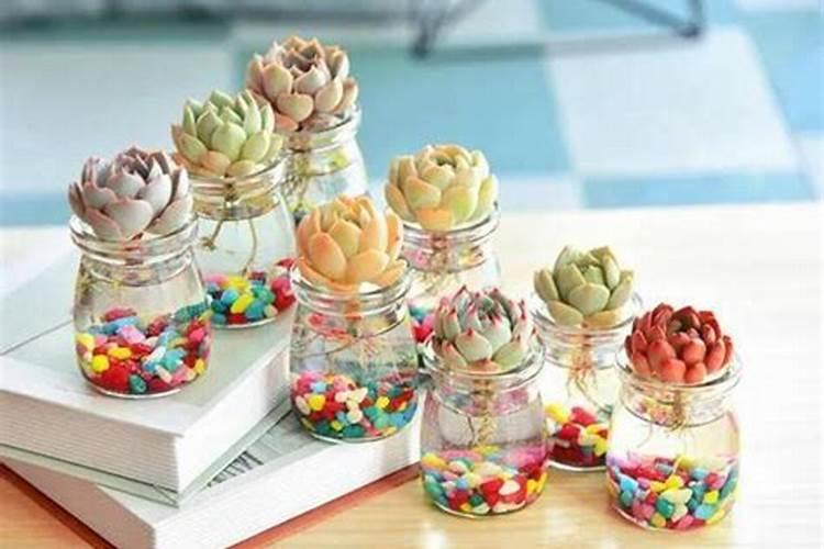 尿素可以水溶后施肥吗 尿素能水溶后施肥吗