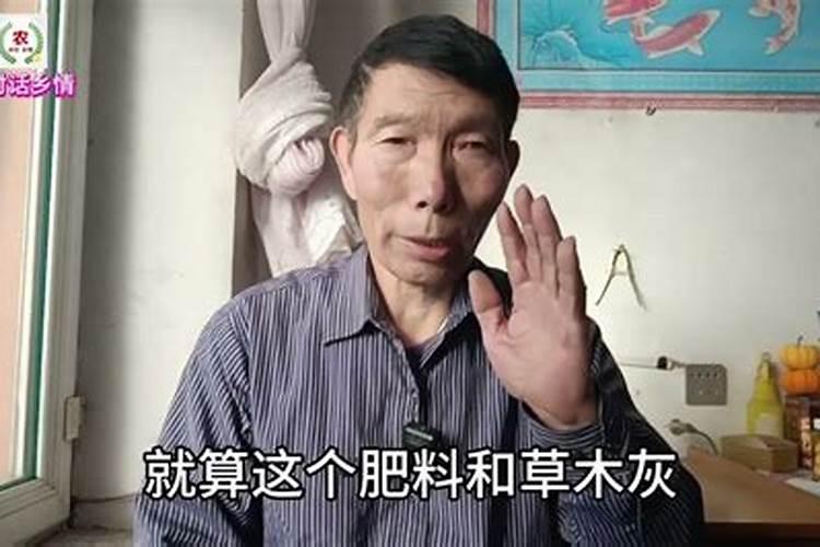 涿州弱碱性土壤适合种植什么花卉种