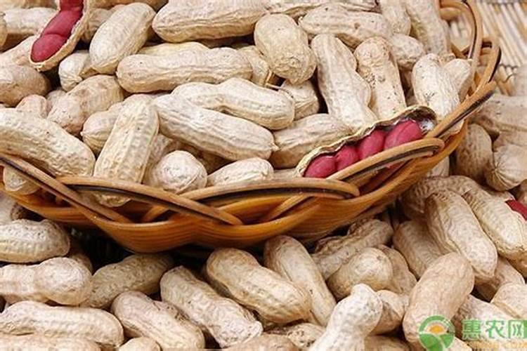 心连心花生专用肥鹏多少钱一袋