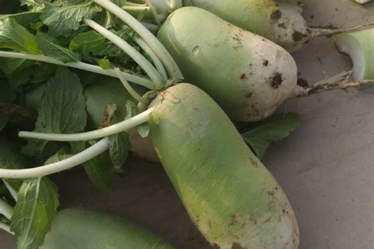 蔬菜用化肥有什么影响？