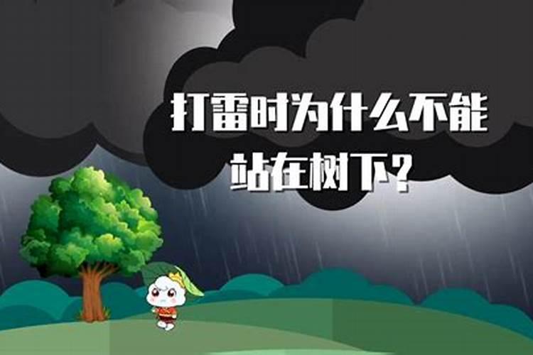 雨水浇花为啥好