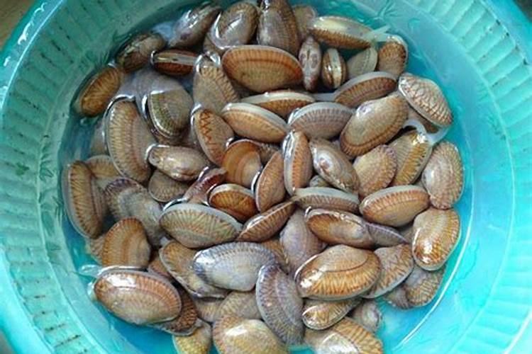 无花果怎样才能快速发芽？