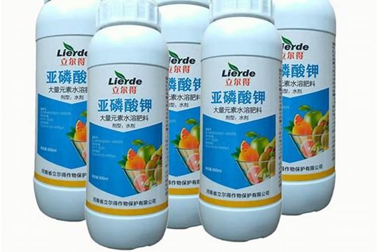 芒果树控梢用什么药好控,跪求解答个位大神