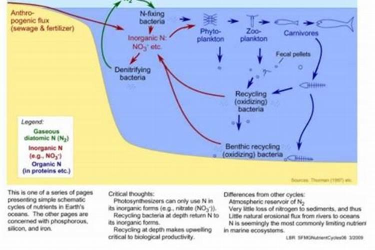 鱼塘亚硝酸盐高怎么办