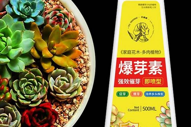 硝酸钾在古代怎么弄出来的