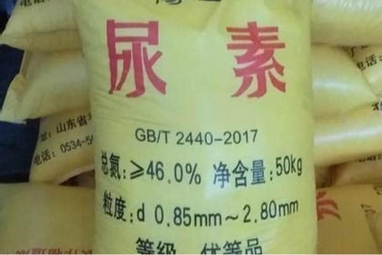 种白菜怎样上肥