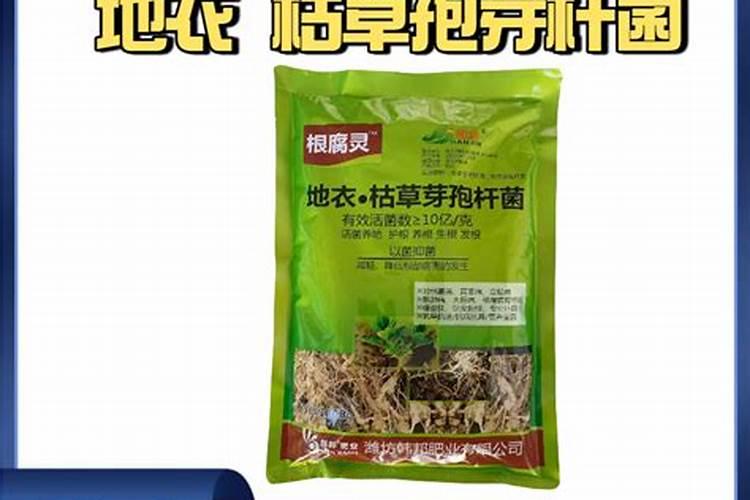 要想蔬菜长势旺、产量高,正确的施肥方法是什么？