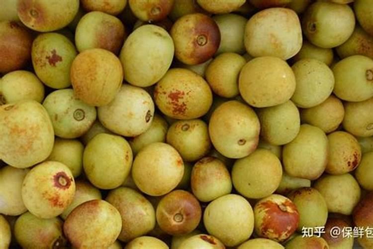 喷施稀土微肥和钾能使冬枣提前上市吗