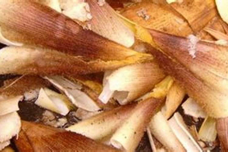 竹笋壳可以当肥料吗？