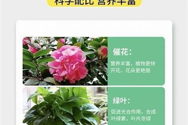 稻田复合肥的作用与功效是什么