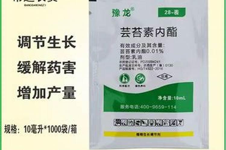 大白菜追肥用什么肥料好