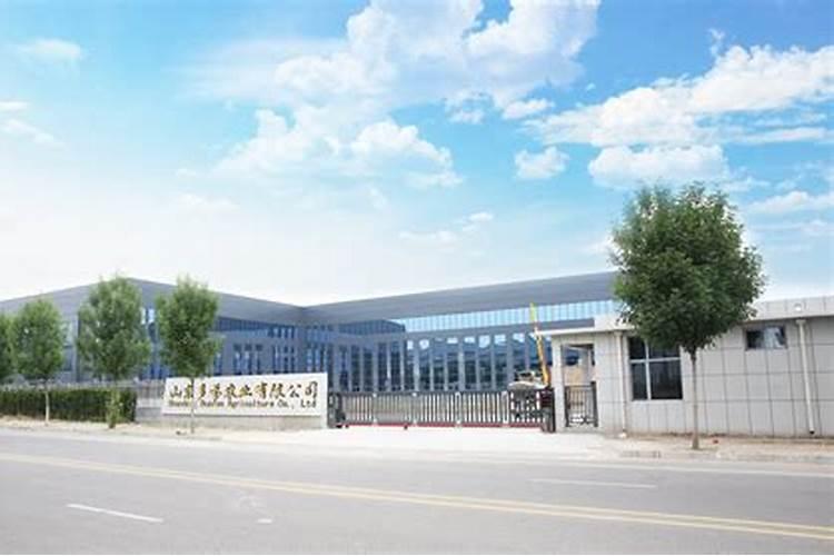 冬季葱用什么肥料最好