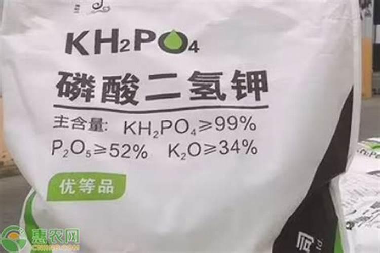 西红柿冲磷酸二氢钾膨果吗