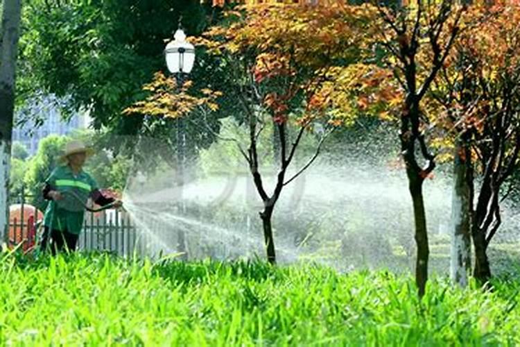 果树雨水过多能不能施水溶肥？