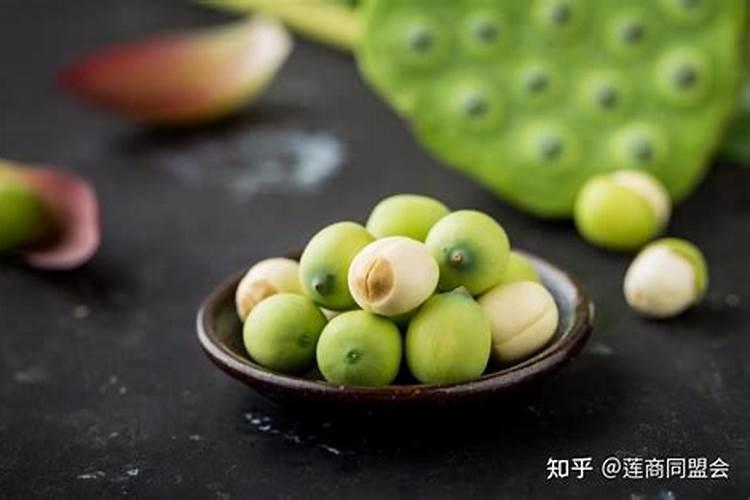 长莲子就不结藕怎么办 原因有哪些