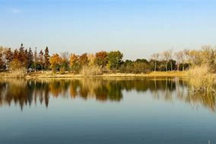 盐湖钾肥的历史由来谁投资