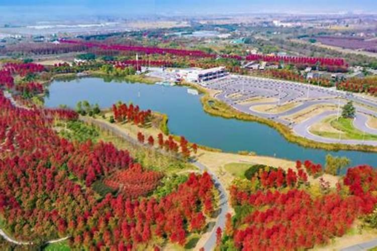 盐湖钾肥是什么