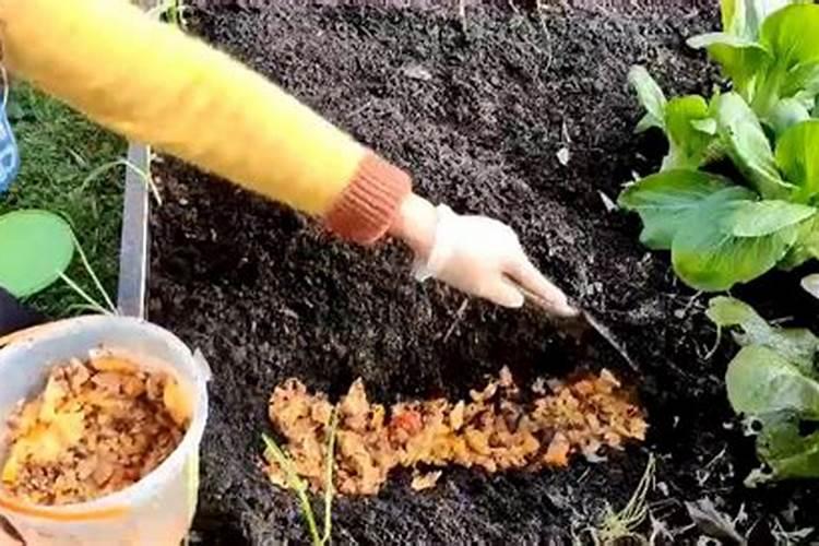 有机肥发酵剂是什么 有机肥发酵剂的使用方法