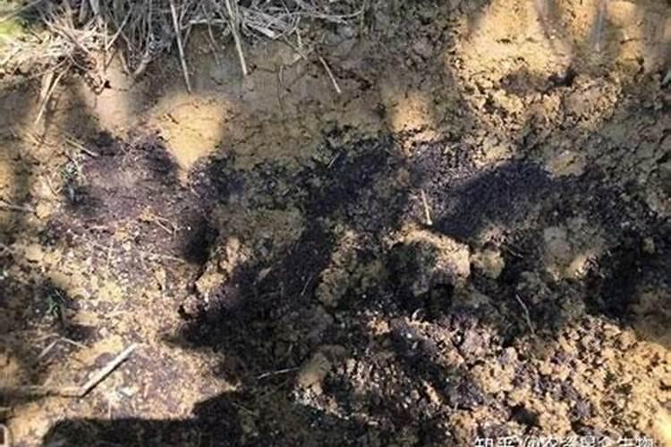 矿源黄腐酸使用大忌