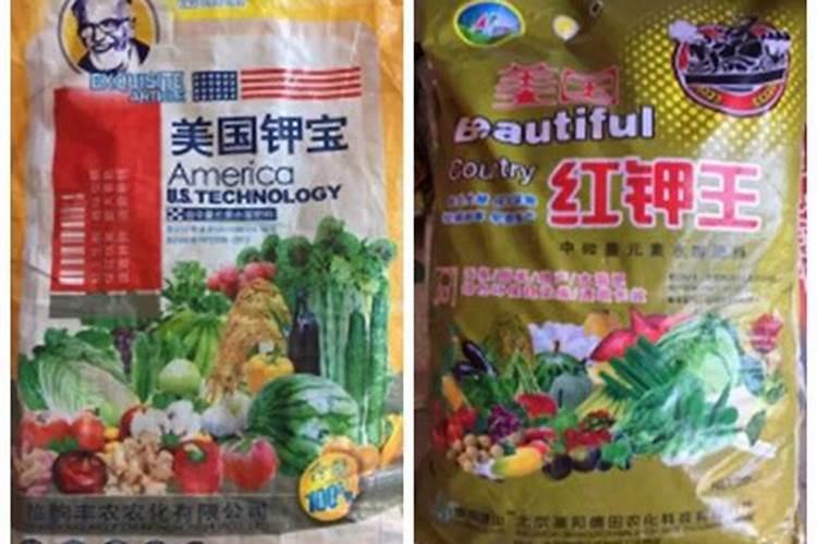 蓝莓幼苗用什么土长得好