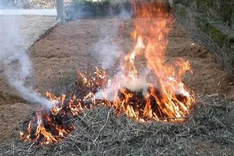 哪些生活垃圾可以烧了做肥料