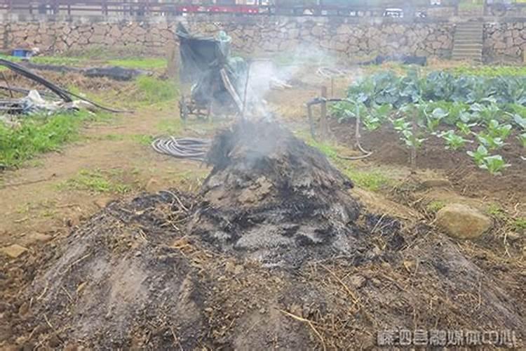 火烧草木灰对土壤的影响