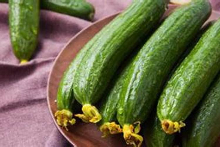 黄瓜栽苗阶段适合使用何种特别的肥料