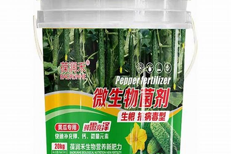 黄瓜生根用什么肥