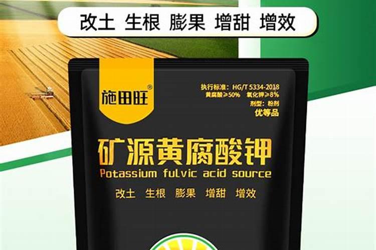 吊兰要经常浇水吗