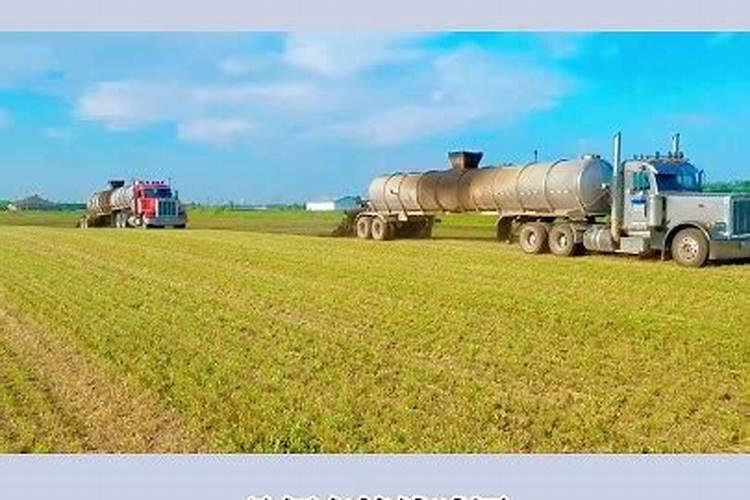 美国农场主使用亚磷酸钾吗