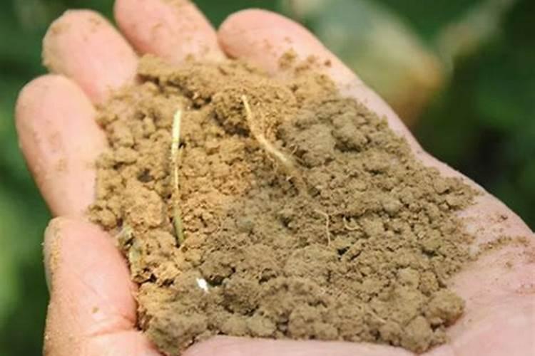 磷肥是酸性还是碱性