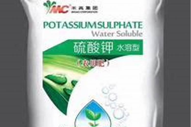 柑橘夏季施什么肥？