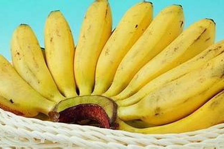 香蕉科学施肥方法,什么时候适合施肥