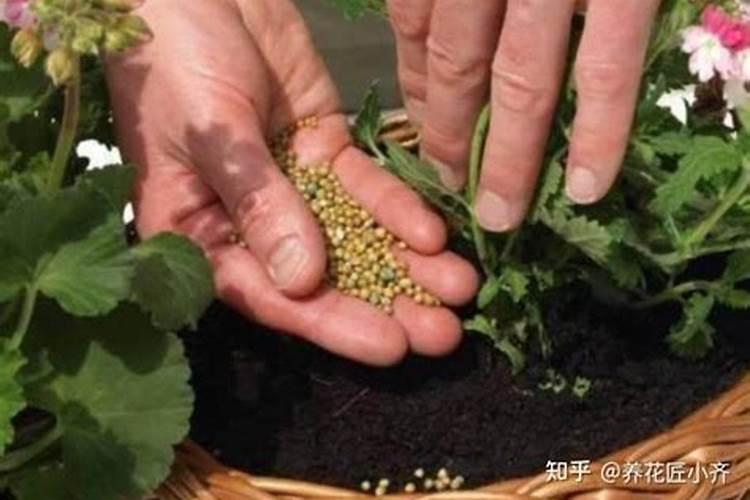 比大量元素好的肥料