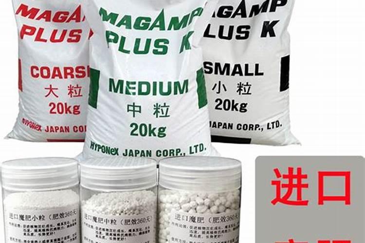 如何养护蝴蝶兰开花品质高