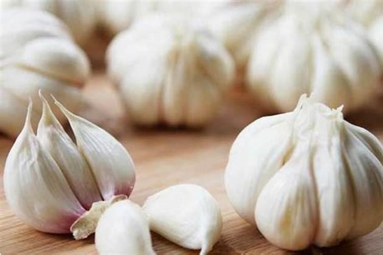 撒过磷肥可以立即种大蒜吗