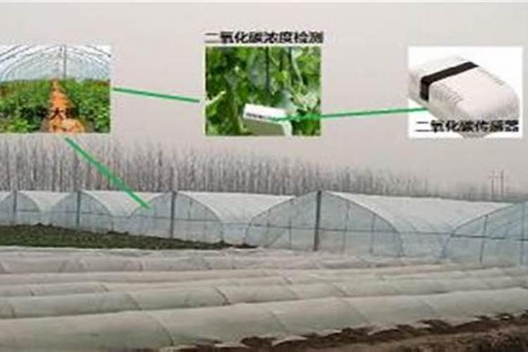 利用二氧化碳施肥的方法有哪些