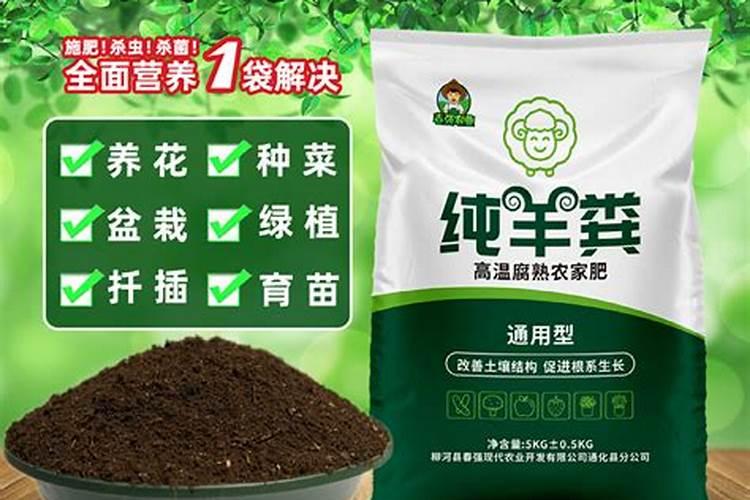 有机肥做花肥多久上一次