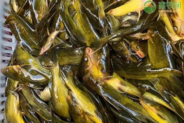 刘尚文武汉大学著名教授