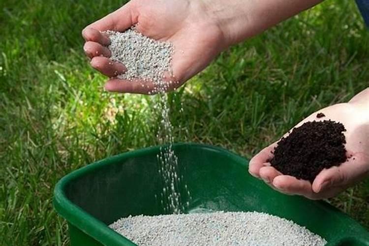 西瓜平衡施肥技术(西瓜的施肥技术)