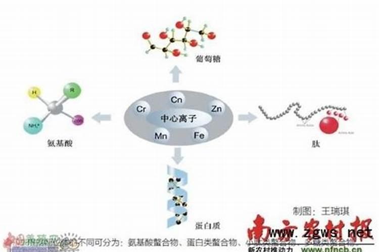 螯合肥是什么肥